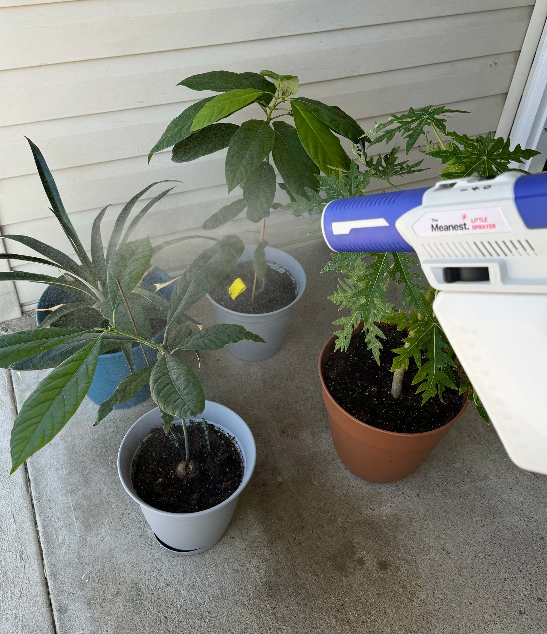Agent Herb product image in a natural setting