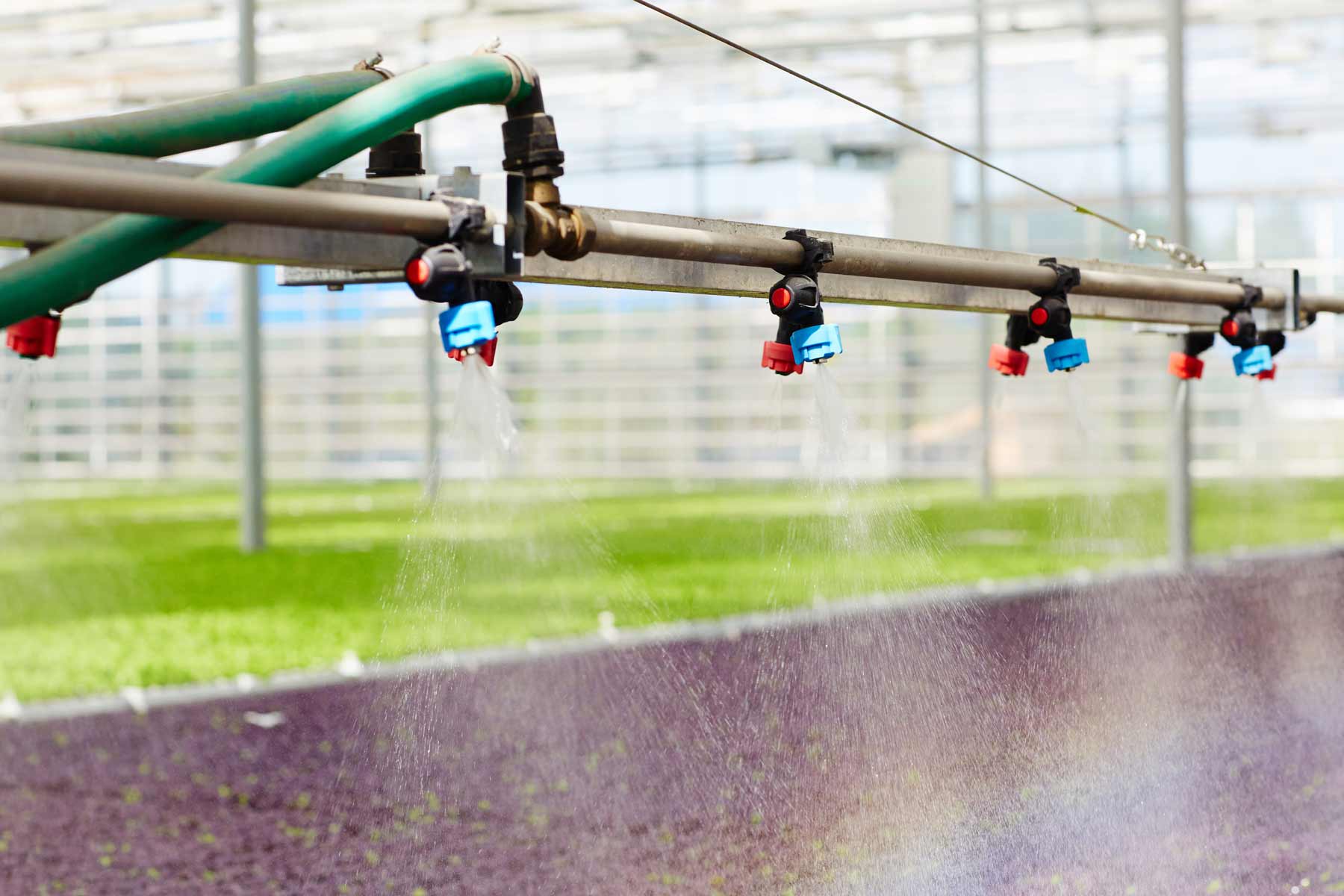 Perimeter disease prevention application